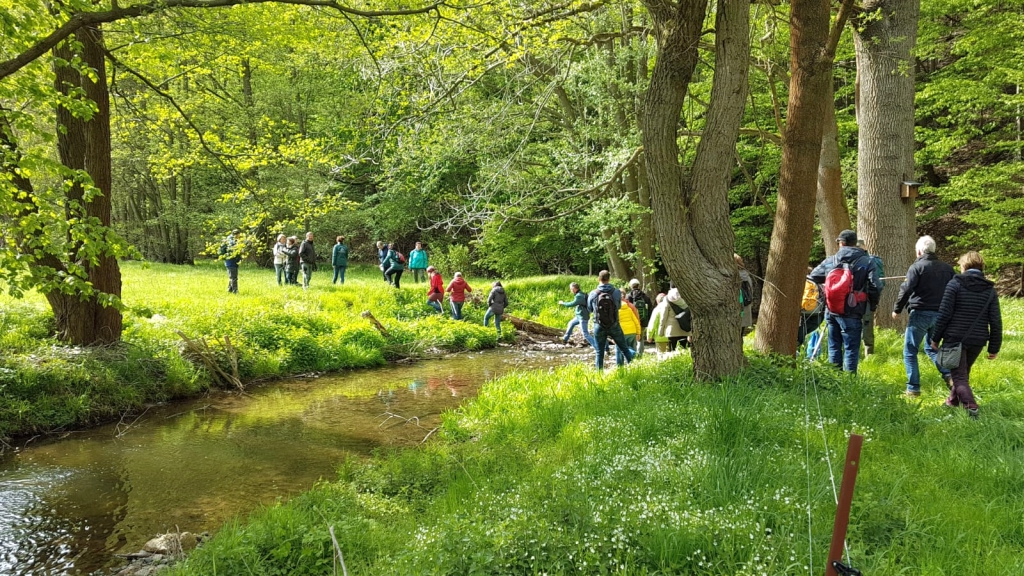 2019 perzbachwanderung 01